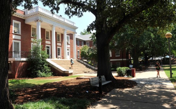 University of Georgia Green