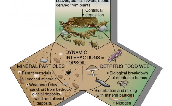 Dynamic soil interactions