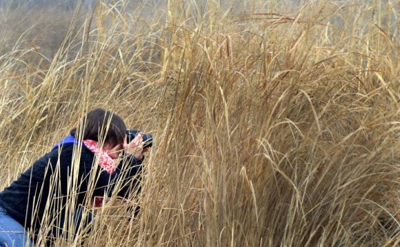 Classroom in the Wild: