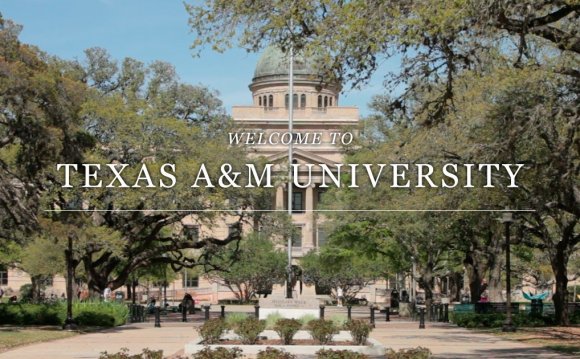 Colleges & Departments - Texas