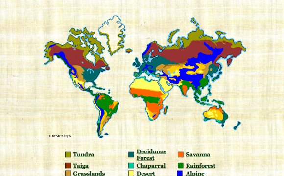 Biome World Map