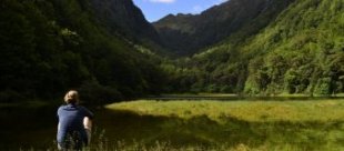 Duffy's_creek, Lewis Pass, NZ