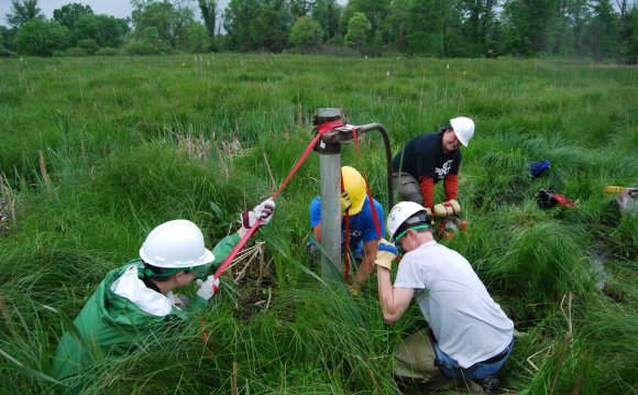 Definition of Environmental Scientist