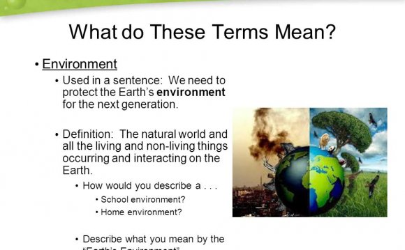 What is the Definition of Environmental Science?
