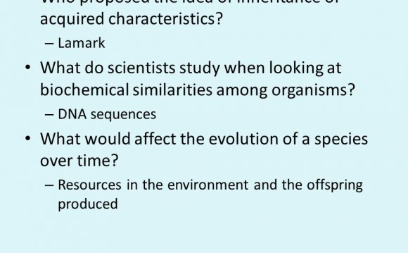What do scientists study?