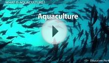 Aquaculture: Environmental Effects of Fish Farming