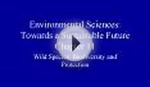 Environmental Sciences: Towards a Sustainable Future