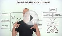 What is environmental risk assessment?